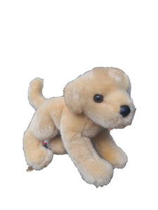 Stuffed Dog